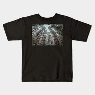 Snow in a Redwood Forest Kids T-Shirt